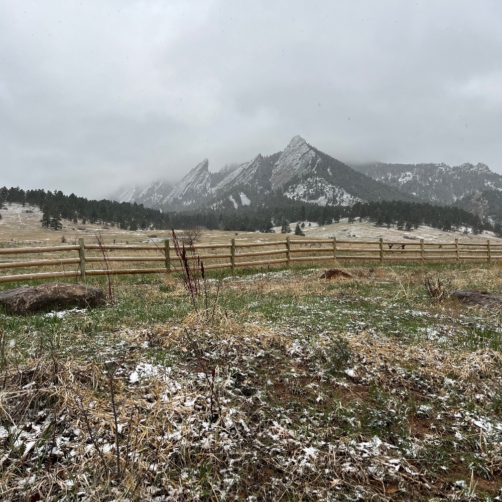 Meet your Posher, Raven